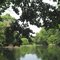 Terrapin Creek