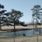K. Fimster Ranch in Holly Pond, AL