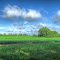 Field, Mount Hope, Al