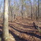 Foothills Trail in winter