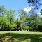 Seymour Bluff Cemetery ~ Chastang ~ Mobile County ~ Alabama