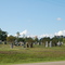 Cemetary Thomasville