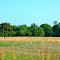 Rural Clarke County