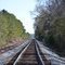 NS P-Line