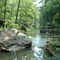 Wild and Beautiful Cahaba River