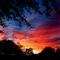 Plano Sunset