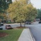 Royal Oaks Dr.