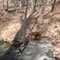 Maggie's Glen