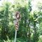 Site 24 North AL Bird Trail Central Loop Beaverdam Peninsula Tower