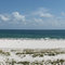Orange Beach panorama Pheonix 7
