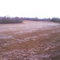 Field #3