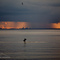 distant Storms