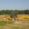 Pond Construction