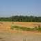 Pond Construction