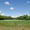 Rural Chambers County