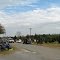 Christmas Tree Farm