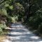 Pine Beach Trail through Bon Secour N.W.R.