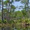 Bon Secour National Wildlife Refuge June 7, 2010