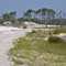 Bon Secour National Wildlife Refuge June 7, 2010