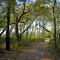 Centennial Trail