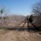 Kaufman County Road 115