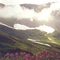 Kenai Peninsula, near Girdwood (08-2002)