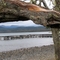 Lago Yehuin_2