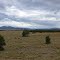 landscape 100 km North of Ushuaia, Tierra del Fuego - Patagonia - Argentina
