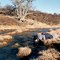 WA799_Area de Chauvco 2D_Agosto 1994