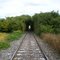 El Tunel Verde de "Coronel Bogado"