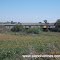 FCCC - Puente Arroyo Pavon (www.alepolvorines.com.ar)