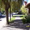 Calle Coronel Ardiles (barrio A. Brown)