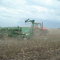 agromas marino sur