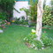en el patio de mi casa...