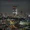 Tokyo Midtown from Omote-Sando (5)