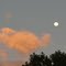Amanecer con la luna cerca. Cinco Saltos. Pcia. Río Negro. Patagonia. Argentina