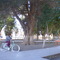 Plaza Central. Cinco Saltos