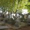 Dentro del cementerio...