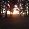 Atardecer