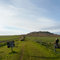 Soñado Tandil