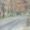Calle Isidoro Busquets en otoño