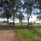 Campo Hockey Logaritmo - Pepo -