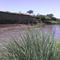 laguna 3