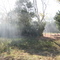 Otoño En el Campo