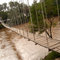 Puente Colgante en Río Xanaes - Arroyito Córdoba