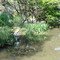 Escobar. Jardín Japonés