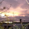 Atardecer - El Trébol - Santa Fe - Argentina