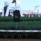 Soja de alto rendimiento en ExpoAgro