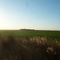 Vista hacia sierra