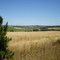 Campo
